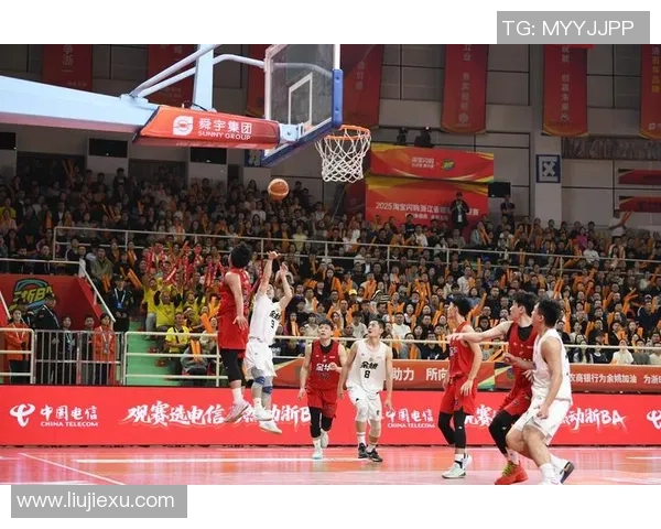 杭州排球队创历史新高排球状态排名再创新高峰